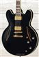 Epiphone Emily Wolfe Sheraton Stealth, Black Aged Gloss, Guitarra Eléctrica con gig bag